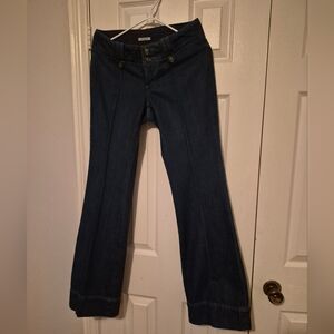 Banana Republic Dark Blue Flare Jeans